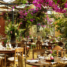 Load image into Gallery viewer, Petersham Nurseries