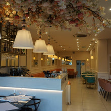 Load image into Gallery viewer, Bade Teddington