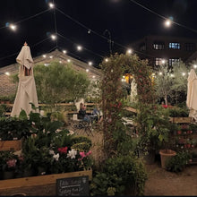 Load image into Gallery viewer, Trindle Stores
