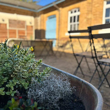 Load image into Gallery viewer, The Stables Café
