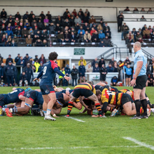 Load image into Gallery viewer, Richmond Rugby Club
