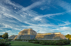 The Palm House in Kew Gardens