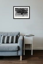 Load image into Gallery viewer, Great Oak and Pro Cyclist, Richmond Park
