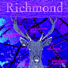 Load image into Gallery viewer, Richmond Park Collage (Blue)
