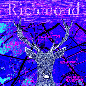 Richmond Park Collage (Blue)
