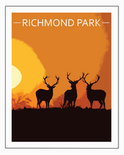 Load image into Gallery viewer, Richmond Park
