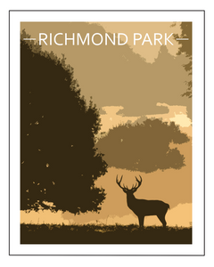 Richmond Park Stag