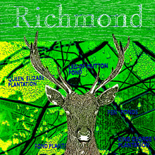 Load image into Gallery viewer, Richmond Park Collage (Green)
