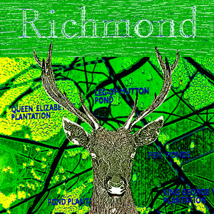 Richmond Park Collage (Green)