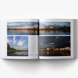 Wild about Barnes London Book 