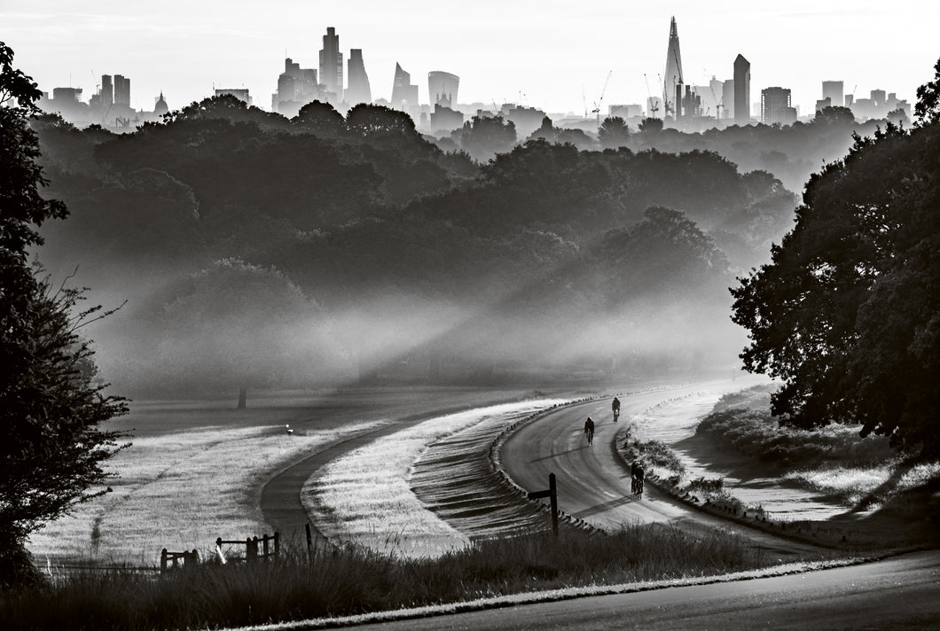 City View and Rays of Sunrise, Richmond Park